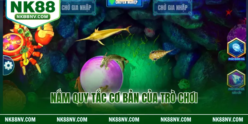 Nắm quy tắc cơ bản của trò chơi